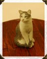Sue Veeder Cats